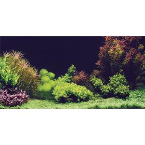 Aquatic Nature Foto Achterwand Silence 100 x 50