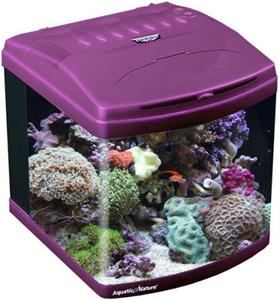 Aquatic Nature Evolution Purple