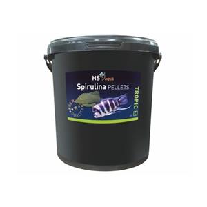 HS Aqua Spirulina Pellets M 20L