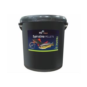 HS Aqua Spirulina Pellets S 20L