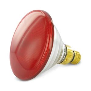 Bulb Bullfights Philips 100 w, rot - Kerbl