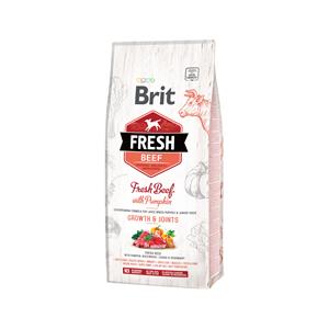 Brit Fresh Rund met pompoen Puppy Large - Dubbelpak: 2 x 12 kg