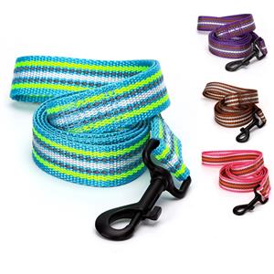 Nobleza Hondenriem - Nylon - Reflecterend - Plat - Lengte 120 cm - Breedte 2,5 cm