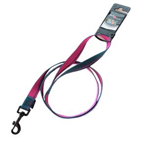 jackandvanilla Jack and Vanilla Hondenriem - Plat - Nylon - Roze / blauw - Lengte 120 cm - Breedte 2 cm