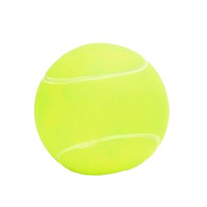 nobleza Honden speelbal met piep geel 6,5 cm
