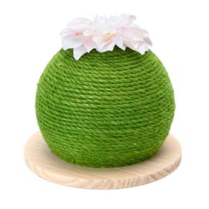 nobleza Katten krabbol Cactus groen