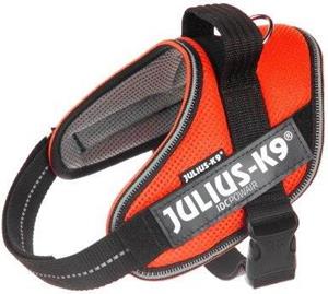 Julius-K9 IDC Powair Oranje