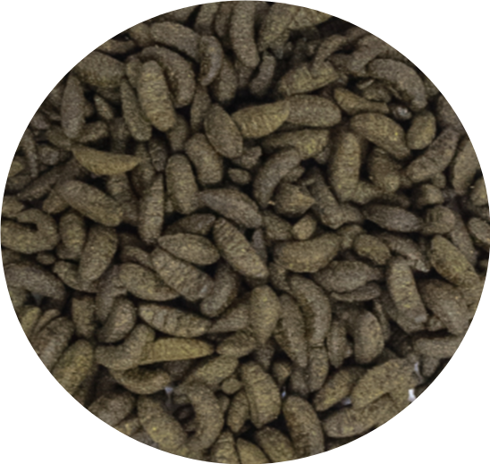 Junai.nl Midori 6KG