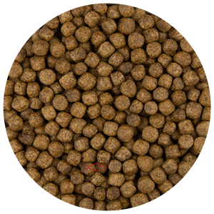 Junai.nl Pond Pellet 6MM | Drijvend