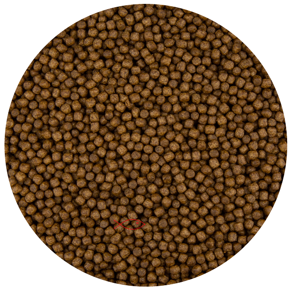 Junai.nl Pond Pellet 3MM | Drijvend