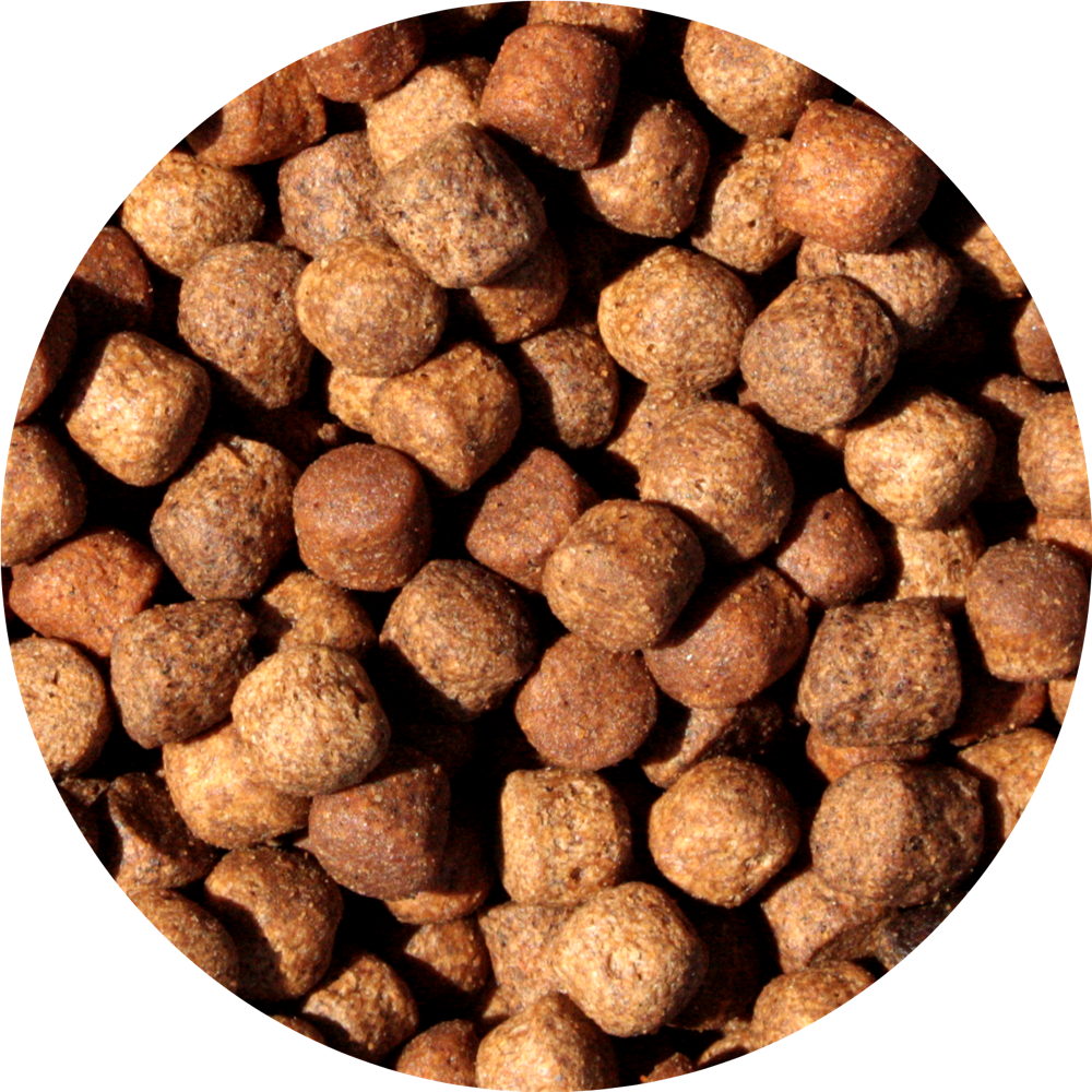 Junai.nl Jumbo Mix 8MM 15KG