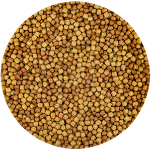vivani Multi Season 3mm (15 Kilo Zak)