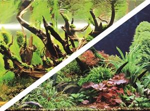 Hobby Foto Achterwand Green Secret/Wood Island 50CM x 25M