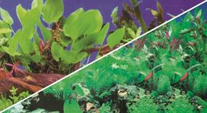 Hobby Foto Achterwand Planten 1/5 60CM x 25M