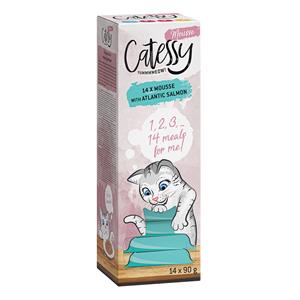 28 x 90 g Catessy Mousse Kuipjes  met Atlantische zalm Kattennatvoer