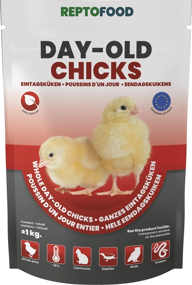 Repto Food Eendagskuikens 1KG Diepvries