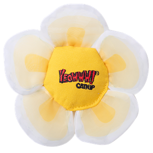 Yeowww! Yeowww Daisey's Flower Top White