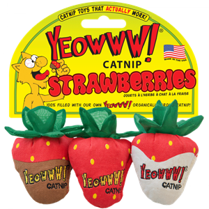Yeowww! Yeowww Strawberries 3-pack
