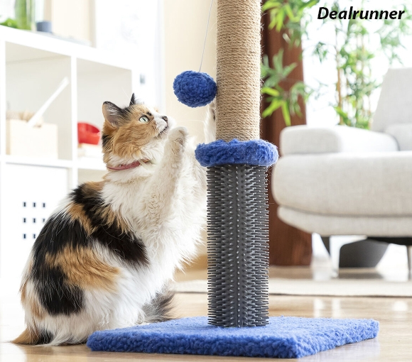 Dealrunner Massage -Krabpaal met Balletje voor Katten