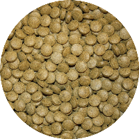 Vivani Bodem Tabletten Groen 5KG