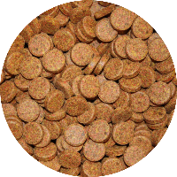 Vivani Kleef Tabletten 5KG