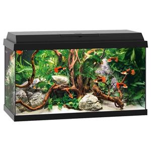 Juwel Primo 60 | 60L | 61 x 31 x 37CM Zwart