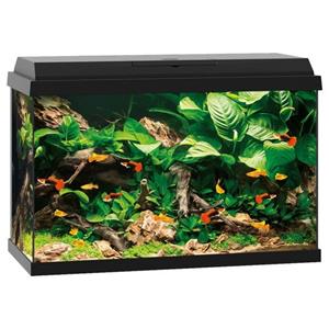 Juwel Primo 70 | 70L | 61 x 31 x 44CM Zwart