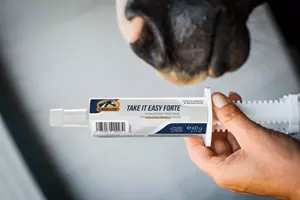Cavalor Take It Easy Forte Paste 6x60 gram