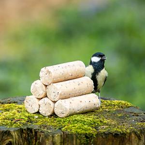 Energierollen met insectenvet 6 stuks (piece) CJ Wildlife CJ Wildbird - Cj wildbird