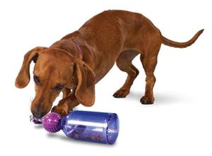 Petsafe Busy Buddy Tug-aJug ML