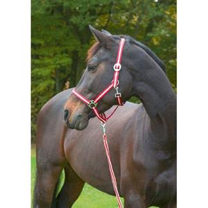 Covalliero Halster Hippo Bordeaux/Beige Shetland