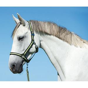 Covalliero Halster Hippo Antra/Lemon Full