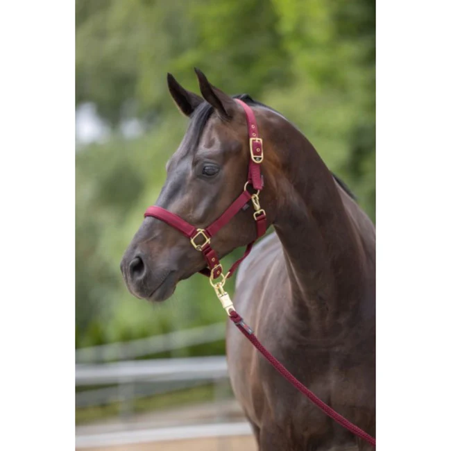 Covalliero Halster Classy Merlot Veulen/Shetland