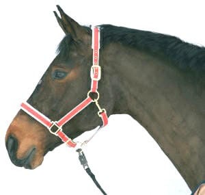 Covalliero Halster Exclusief Nylon/Leer Rood Pony