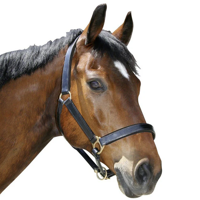 Covalliero Lederen Halster Zwart Extra Full