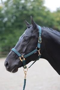 Covalliero Halster Topline Donkergroen Pony