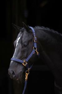 Covalliero Halster Topline Blauw Cob