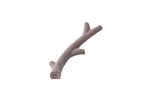 Quapas! Dog Toy Plant fiber Stick