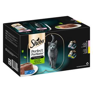 16x 37,5g Noble Pâté Zalm en Kip Sheba Perfect Portions Natte kattenvoer