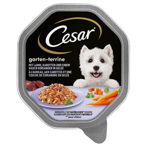 Megapack Cesar kuipjes 28 x 150 g - Lam, wortelen en koriander in gelei
