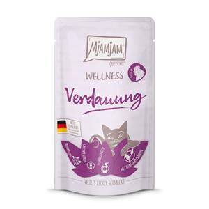 12x 125g MjAMjAM Wellness Spijsvertering - Kip natvoer voor katten
