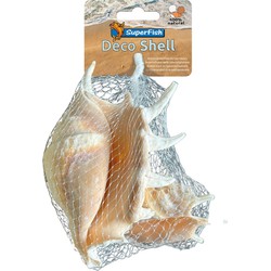 Deco schelp spider 150 gram Superfish - Superfish