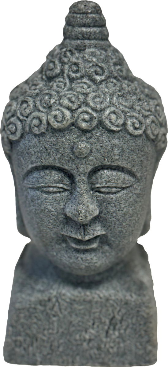 Eco deco buddha head Superfish - Superfish