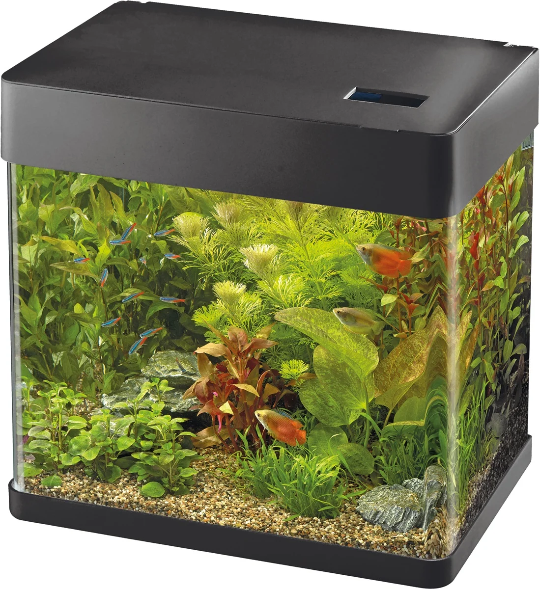 Panorama 20 zwart Superfish - Superfish
