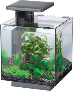 Superfish QubiQ 15 LED Zwart