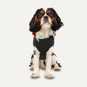 Goo-eez Gooeez Kangaroo Fleece Hoodie 2XS Red"Black