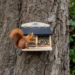 CJ Wildlife Dubbel eekhoorn voederhuis Galiano