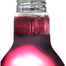 Arcadia Aquadistri infrarood warmtespot 75 watt - Aquadistri