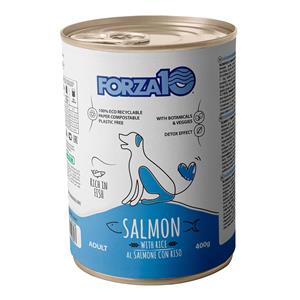 Forza10 Maintenance Cat 24x400g Forza10 Maintenance Lachs & Reis Hundefutter nass