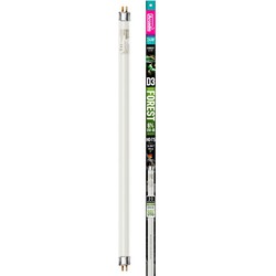 Arcadia Aquadistri d3 forest t5 lamp 6% uvb 56 cm 24 watt - Aquadistri